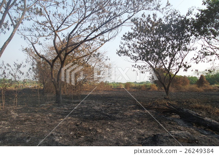 Unburned areas Unburned areas 26249384