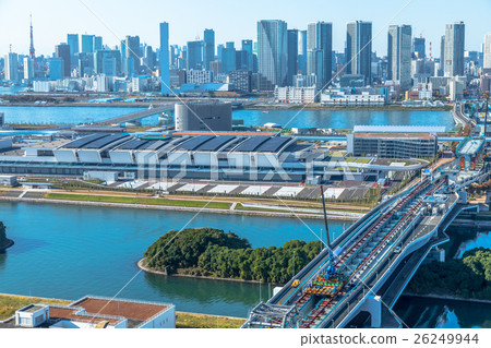 Toyosu market fish market fresh market New equipment 26249944