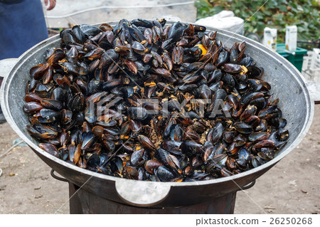 Steamed black sea mussels in sauce with vegetables Steamed black sea mussels in sauce with vegetables 26250268