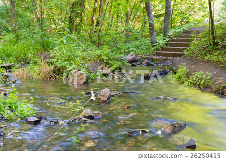 Landscape - Forest river to which a staircase Landscape - Forest river to which a staircase 26250415