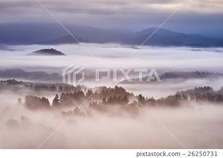Hilly landscape with fog 26250731