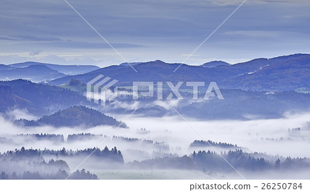 Hilly landscape with fog 26250784