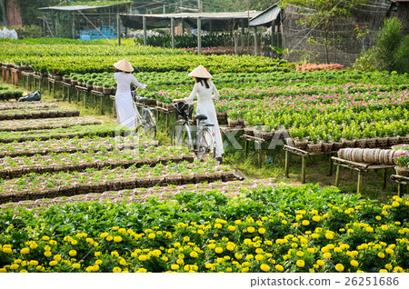 Two school girls with Ao Dai in a garden, Sa Dec 26251686