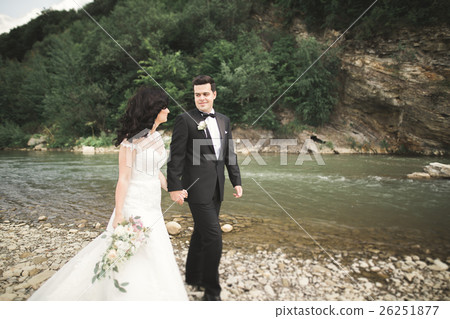 Elegant stylish happy brunette bride and gorgeous Elegant stylish happy brunette bride and gorgeous 26251877