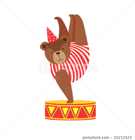 Circus Bear Animal Artist In Stripy Body Suit 26252023