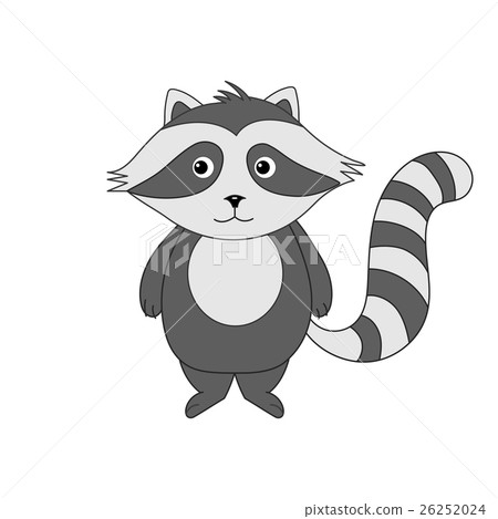 Raccoon 26252024