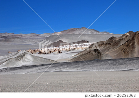 Pumice stones at Campo de Piedra Pomez, Catamarca Pumice stones at Campo de Piedra Pomez, Catamarca 26252368