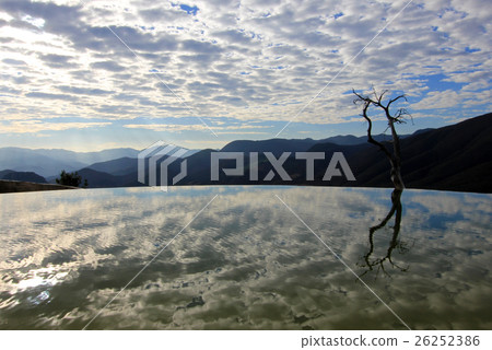 Pool and tree at petrified waterfalls, Hierve El 26252386