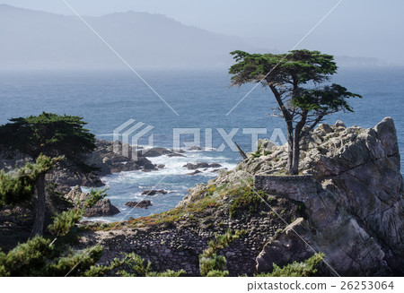 California 17 miles drive 26253064