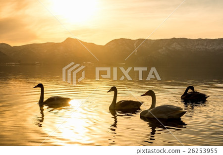 Kussharo Lake Shiratori Sand 26253955