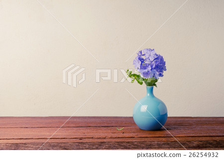 Blue plumbago flowers in vase Blue plumbago flowers in vase 26254932