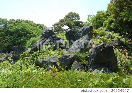 Garden landscape Garden landscape 26254947