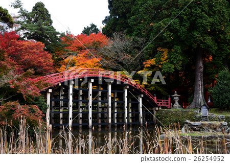 世界遺產秋天丹羽區比較神社神社橋樑橋樑 26254952