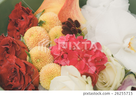 頭飾 鮮花 花朵 26255715