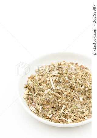 Brested Thistle: Blessed Thistle 26255997