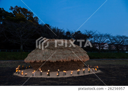 Fanano of the evening scenery of Numa Numa Rice field 26256957