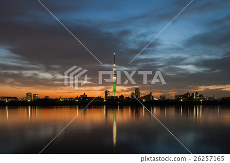 東京天空樹有限時間香檳樹聖誕節 26257165