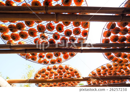 Dried persimmon Dried persimmon 26257238