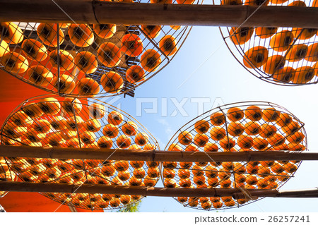 Dried persimmon 26257241
