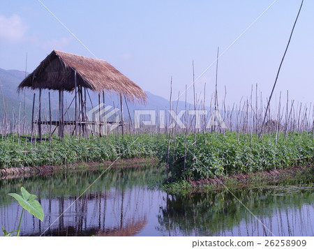 Lake Inleigh (Myanmar) Lake Inleigh (Myanmar) 26258909