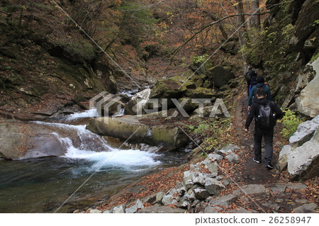 西澤谷（Senba no Waterfall和母親節之間） 26258947