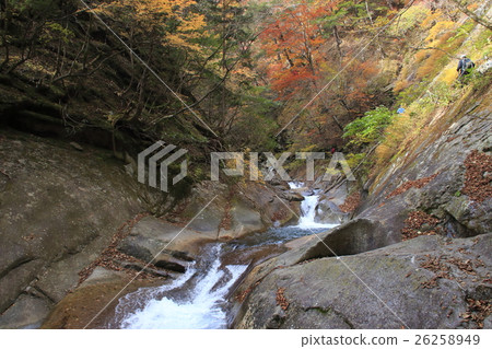 西澤谷(Senba no Waterfall和母親節之間) 西澤谷(Senba no Waterfall和母親節之間) 26258949