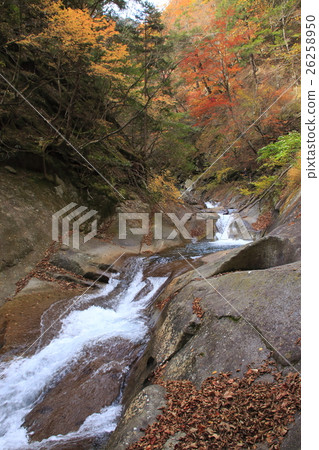 西澤谷(Senba no Waterfall和母親節之間) 西澤谷(Senba no Waterfall和母親節之間) 26258950