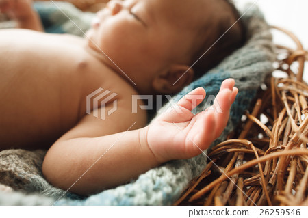 Newborn kid lying in nest, focus on hand Newborn kid lying in nest, focus on hand 26259546