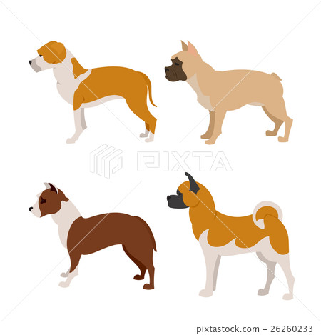 Collection of purebred dogs 26260233