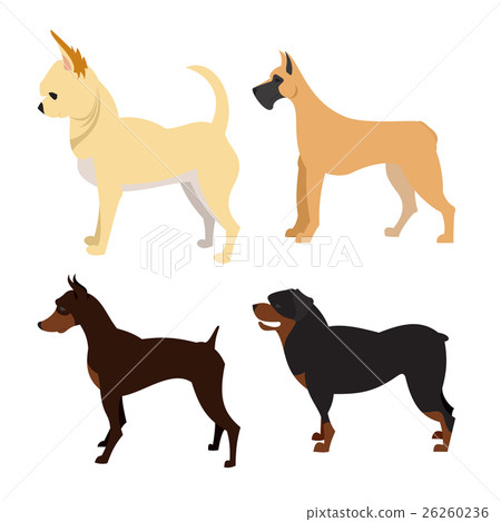Purebred dogs set Purebred dogs set 26260236