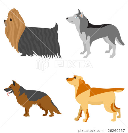 Collection of purebred dogs Collection of purebred dogs 26260237