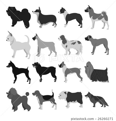 Set of dog breeds Set of dog breeds 26260271