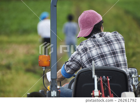 Young people who experience agriculture experience Young people who experience agriculture experience 26261792