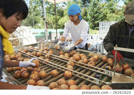 Young people who experience agriculture experience Young people who experience agriculture experience 26261820