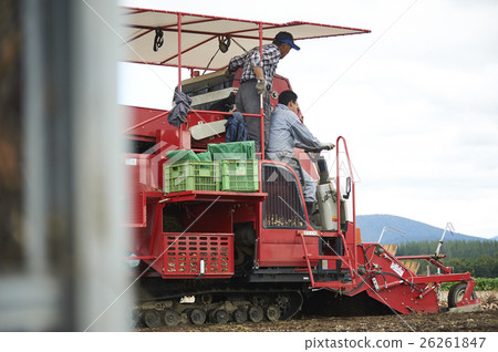 農業形象收穫蔬菜 26261847