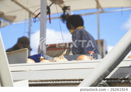 Young people who experience agriculture experience Young people who experience agriculture experience 26261924