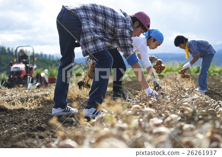 體驗農業經驗的年輕人 26261937
