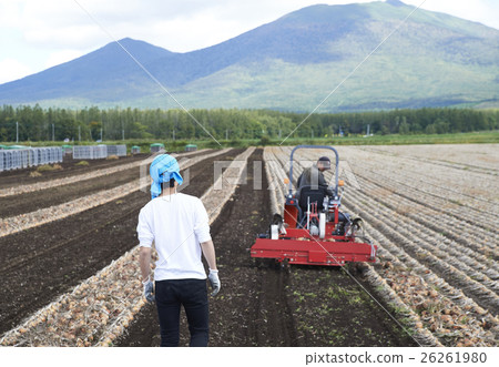 家庭農業形象 26261980