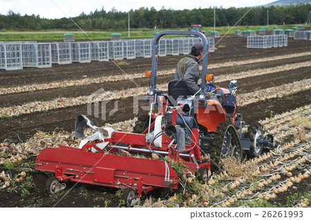 農業形象收穫蔬菜 農業形象收穫蔬菜 26261993