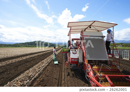 Young people who experience agriculture portrait 26262001