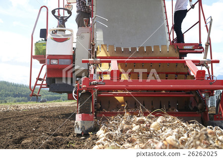 體驗農業肖像的年輕人 26262025