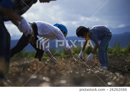 Young people who experience agriculture experience 26262086