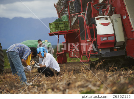 Young people who experience agriculture experience 26262135