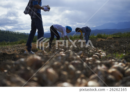 體驗農業經驗的年輕人 26262165