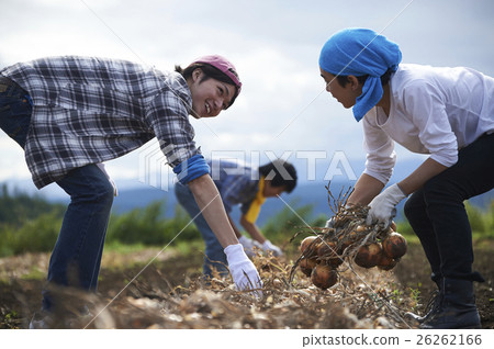 Young people who experience agriculture experience 26262166