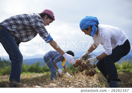 體驗農業經驗的年輕人 26262167