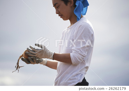 Young people who experience agriculture experience 26262179