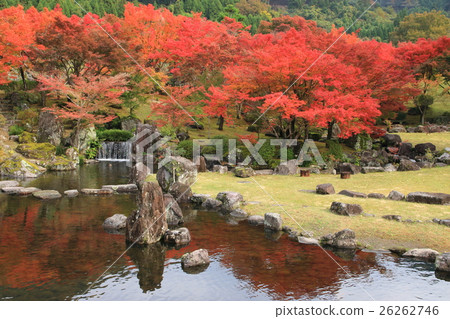 秋天懷石花園Ⅱ 26262746