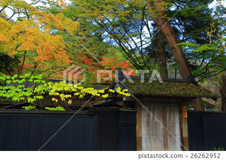 秋葉的Kakunodate 秋葉的Kakunodate 26262952