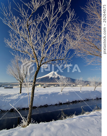 图库照片 富士山 严冬 雾凇